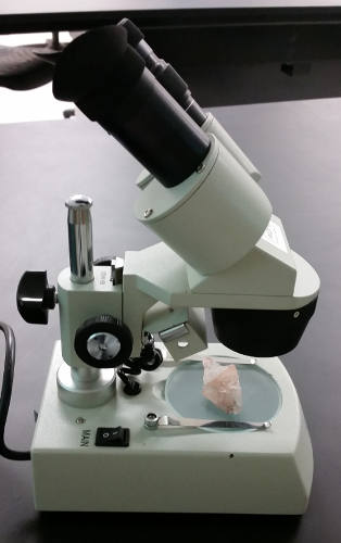 microscope Hall, Danielle. microscope2.jpg. January 2015. Pics4Learning. 14 Nov 2016  